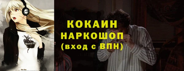 apvp Краснослободск