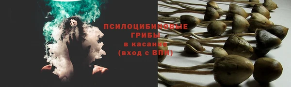 соль курить ск Всеволожск