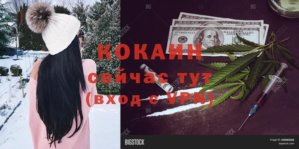соль курить ск Кукмор