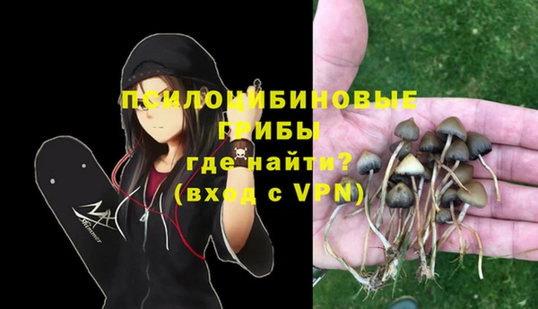 a pvp Кулебаки