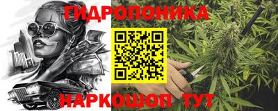 дурь Заводоуковск